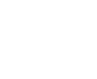 Icon Mower 2
